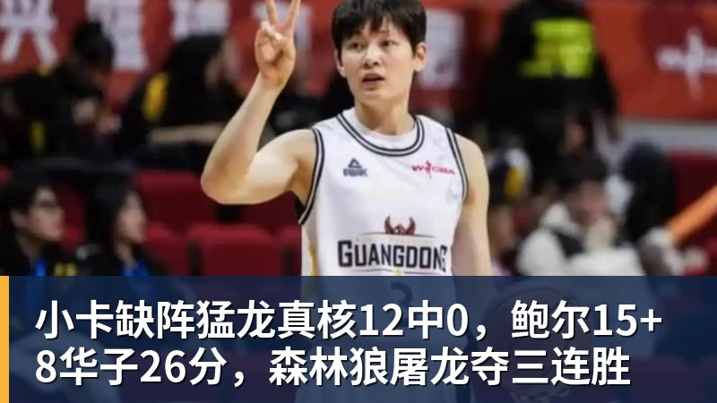 小卡缺阵猛龙真核12中0，鲍尔15+8华子26分，森林狼屠龙夺三连胜